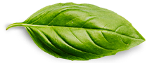 Aswa herbals basil-leaf